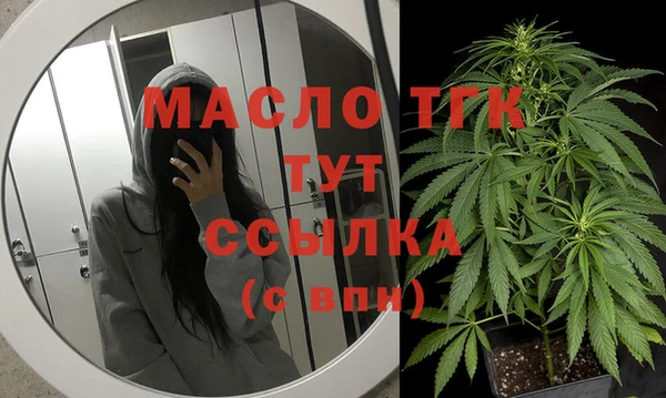 дживик Осинники