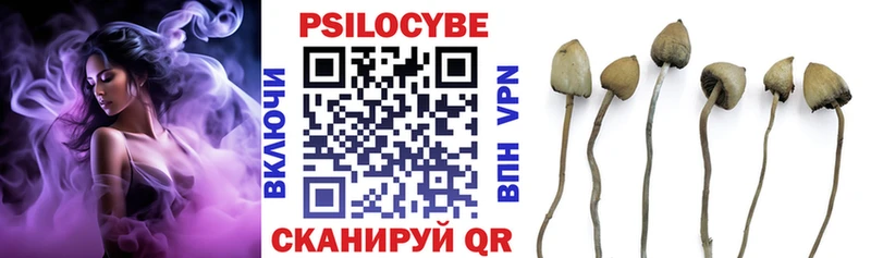 Псилоцибиновые грибы Psilocybine cubensis Шарыпово