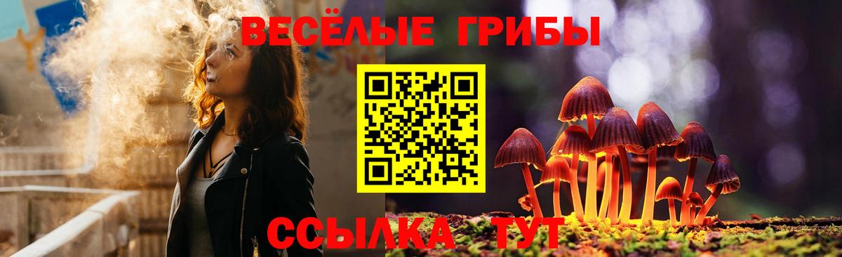 Галлюциногенные грибы Psilocybe Шарыпово